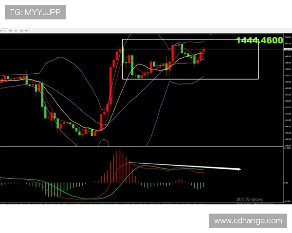 武汉网球队防守策略分析及其对比赛结果的影响探讨